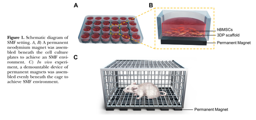 科研论文配图的艺术与科学 以北京协和医院为例