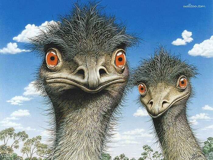 当科研遇见最美画笔 ——数码时代的手绘科研美学